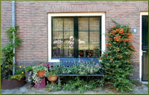 Wulpstraat gefotografeerd met Corry gespiegeld in het raam